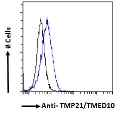 TMED10 / TMP21 Antibody (aa207-219)