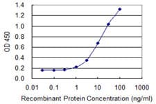 TECTA Antibody (clone 2A5)