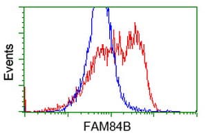 FAM84B Antibody (clone OTI10A2, Carrier-free)