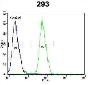PLA2G1B Antibody (aa116-145)