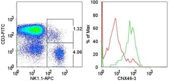 NK1 / CD160 Antibody (clone CNX46-3)