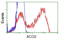 ACO2 / Aconitase 2 Antibody (clone OTI3G10, Carrier-free)