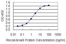 FUT4 / CD15 Antibody (clone 8B2)