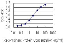 TTPA Antibody (clone 7B5)