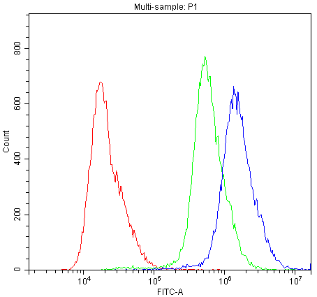 ABCG5 Antibody (aa116-131)