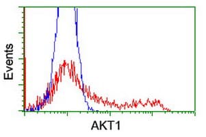 AKT1 Antibody (clone OTI1G5, Carrier-free)