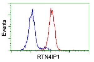 RTN4IP1 / NIMP Antibody (clone OTI2A9)