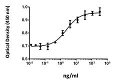 Human FGF10 Protein (Recombinant)