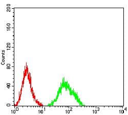 CXCR2 Antibody (clone 7E9H12)