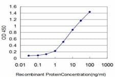 FGR Antibody (clone 1B12)