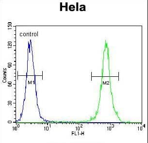 TRADD Antibody (aa126-151)