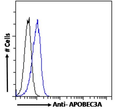 IHC-plus™ Polyclonal Goat anti-Human APOBEC3A Antibody (aa7-20, IHC, IF, WB)