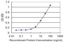 Monoclonal Mouse anti-Human HDAC6 Antibody (clone 3A6, WB)