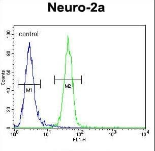 MRPS34 Antibody (aa4-32)