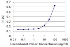 BAFF / TNFSF13B Antibody (clone 2C11)