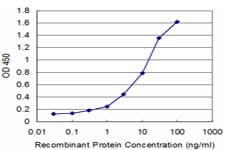 RPS29 / Ribosomal Protein S29 Antibody (clone 3G9)