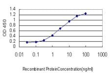 TRA2B / SFRS10 Antibody (clone 7A1)