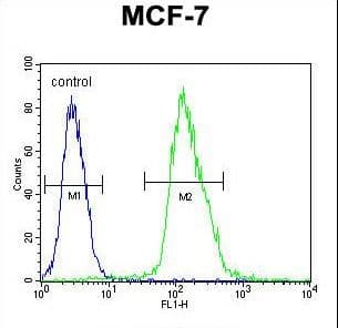 IHC-plus™ MFAP4 Antibody (aa228-255)