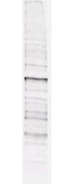 Phosphothreonine Antibody (clone 18F6)