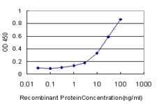 IHC-plus™ NR1D1 Antibody (clone 4F6)