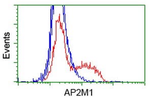 AP50 / AP2M1 Antibody (clone OTI1C12, Carrier-free)