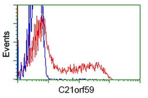 C21orf59 Antibody (clone OTI2H5)