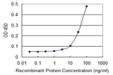 ASB8 Antibody (clone 1H1)