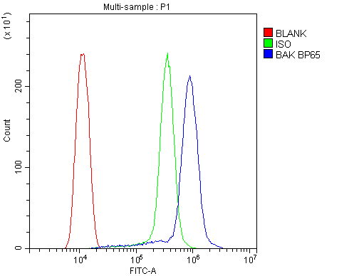 BAK1 / BAK Antibody (aa22-211)