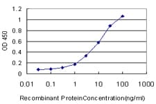 Monoclonal Mouse anti-Human BAAT / BAT Antibody (clone 5B6, WB)