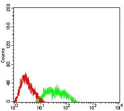 Monoclonal Mouse anti-Human FCRL3 Antibody (clone 4D7B9, WB)