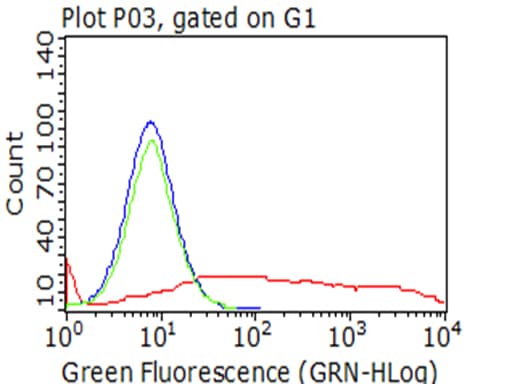PECAM-1 / CD31 Antibody (clone UMAB164)