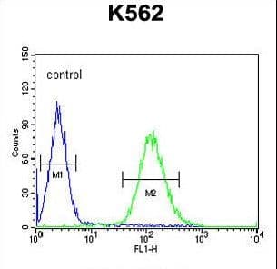 TEX9 Antibody (aa42-70)
