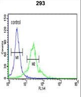 Polyclonal Rabbit anti-Human SPHK / SPHK1 Antibody (aa313-343, IHC, WB)