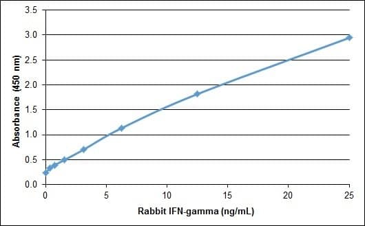 Rabbit IFN Gamma / Interferon Gamma Protein (Recombinant)