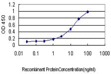 IHC-plus™ DAZ1 / DAZ Antibody (clone 3G10)