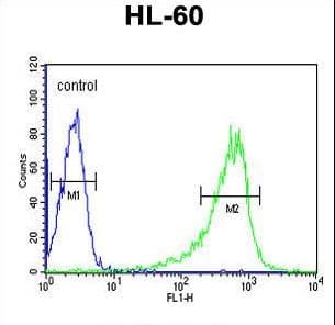 PLCB1 / Phospholipase C Beta 1 Antibody (aa1148-1176)
