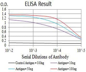 GRIK2 / GLUR6 Antibody (clone 8A1F11)