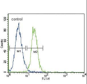 IHC-plus™ GADD45A / GADD45 Antibody (aa1-30)