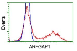 ARFGAP1 Antibody (clone OTI2C5)