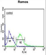 PHGDH Antibody (aa249-277)