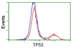 TP53 / p53 Antibody (clone OTI1D8)