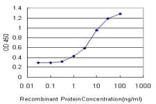 Monoclonal Mouse anti-Human MAGEA4 Antibody (clone 3D12, IF, WB)