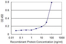 HMOX2 / Heme Oxygenase 2 Antibody (clone 1D8-1A8)