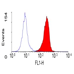 CD66acd Antibody (clone YTH71.3)