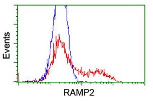 RAMP2 Antibody (clone OTI4E5)
