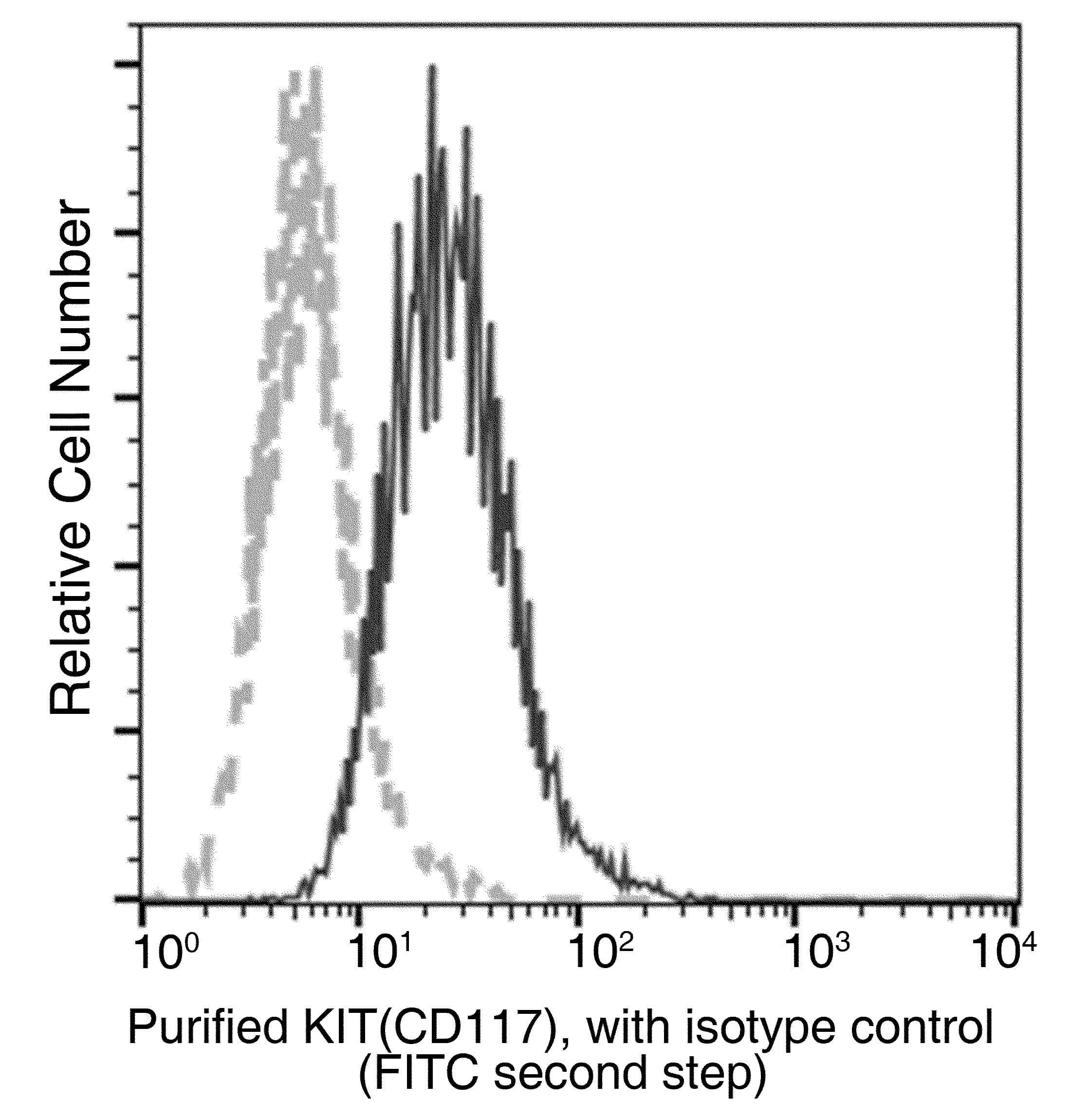 c-Kit / CD117 Antibody (clone 41, Preservative Free)