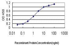 POLR2I Antibody (clone 2B3)