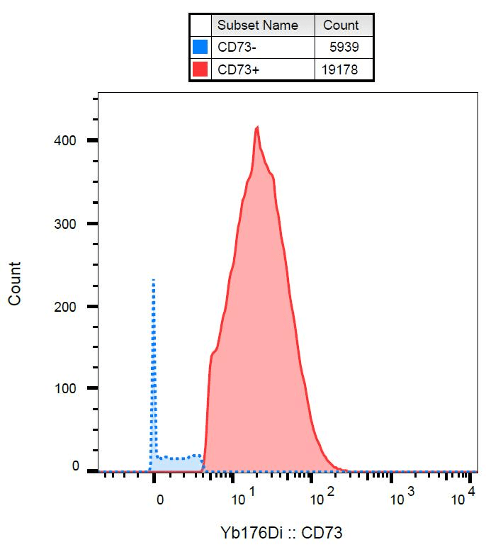 NT5E / eNT / CD73 Antibody (clone AD2)