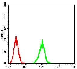 ATG2A Antibody (clone 4E6D4)