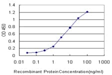 Monoclonal Mouse anti-Human TOM1 Antibody (clone 5A3, IHC, WB)